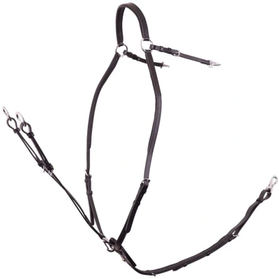 Afbeelding van BR Voortuig Rayleigh met Zadelriemen Zwart/zilver Cob
