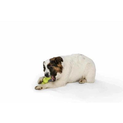 Afbeelding van West Paw Design Hondenspeelgoed Zogoflex Rumpus Groen