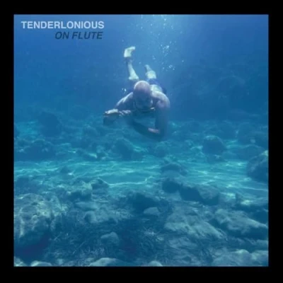 Afbeelding van Tenderlonious On Flute (LP)