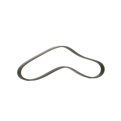 Afbeelding van DAYCO 6PK1025 Multiriem