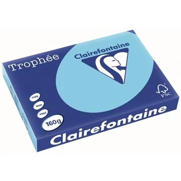 Afbeelding van Clairefontaine Trophée Pastel, Gekleurd Papier, A3, 160 G, 250 Vel, Helblauw Papier
