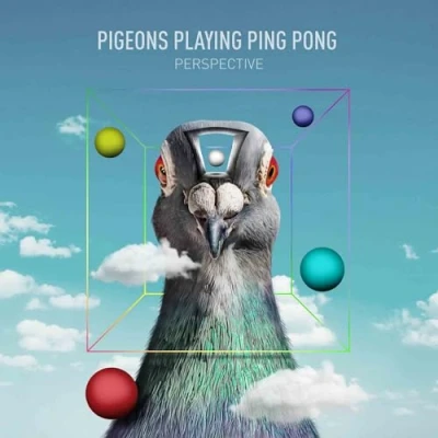 Afbeelding van Pigeons Playing Ping Pong Perspective (CD)