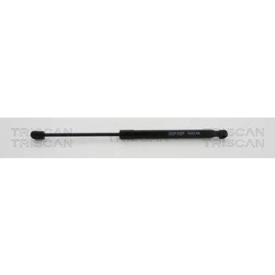 Afbeelding van Triscan Gasveer 8710 23244