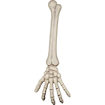 Afbeelding van Boland Skeletarm Piraten;Horror Piraten Horror