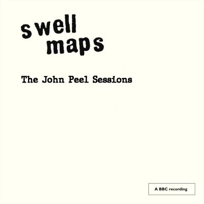 Afbeelding van THE JOHN PEEL SESSIONS