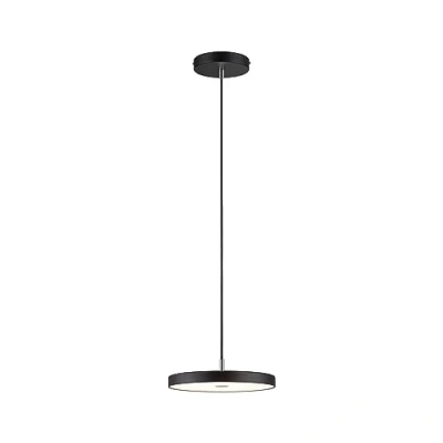 Afbeelding van Paulmann Hildor 96782 LED hanglamp 22 W Zwart (mat)