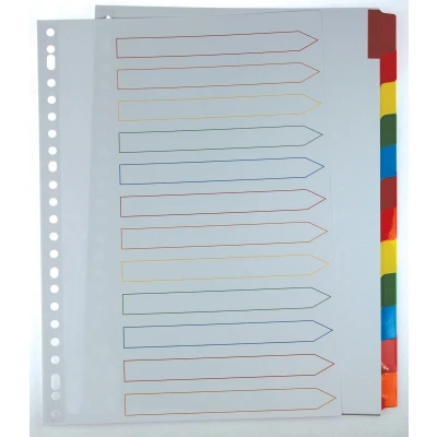Afbeelding van Pergamy Tabbladen Met Indexblad, Ft A4, 11 gaatsperforatie, Geassorteerde Kleuren, 12 Tabs