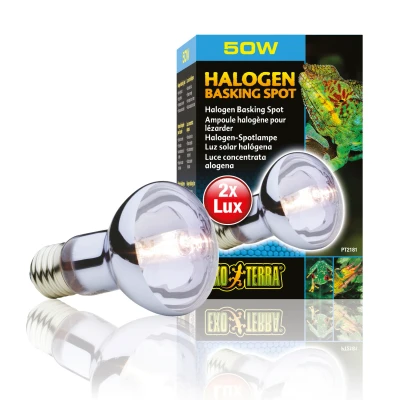 Afbeelding van Exo Terra Halogen Basking Spot E27 Verlichting 50 Watt Daylight