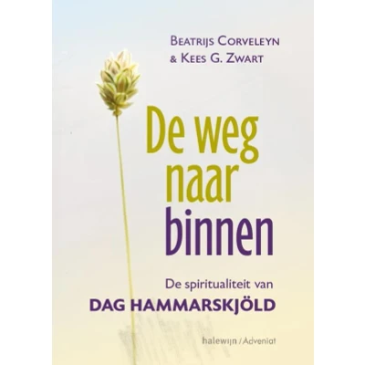Afbeelding van De weg naar binnen