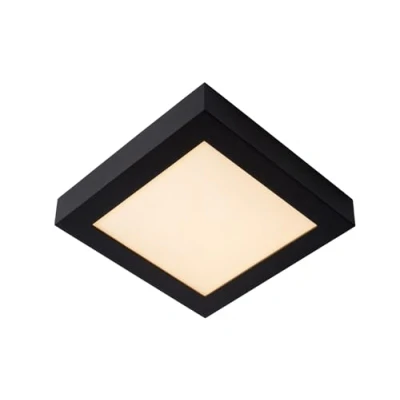 Afbeelding van Lucide BRICE LED Plafonnière Badkamer Dimb