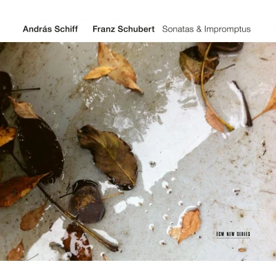 Afbeelding van András Schiff Sonatas &amp; Impromptus (2 CD)