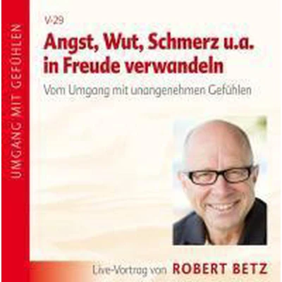 Afbeelding van Angst, Wut, Schmerz u.a. in Freude verwandeln