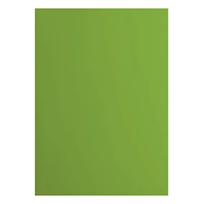Afbeelding van Vaessen Creative Florence Cardstock 2927 074 papier, A4, glad, 216 g/m², 10 vel, groen