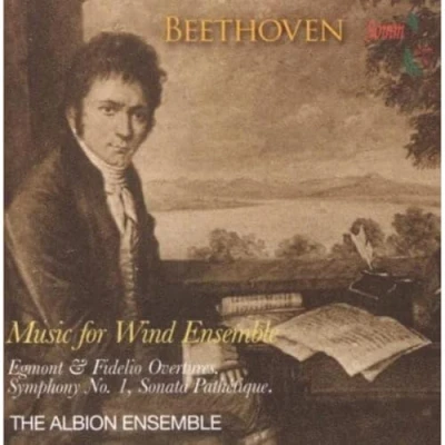 Afbeelding van The Albion Ensemble Music For Wind (CD)