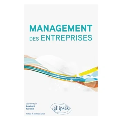Afbeelding van Management des entreprises