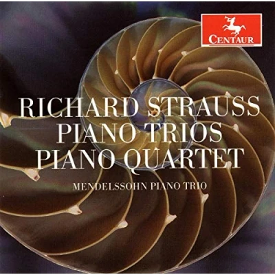 Afbeelding van Richard Strauss