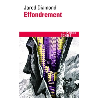 Afbeelding van Effondrement
