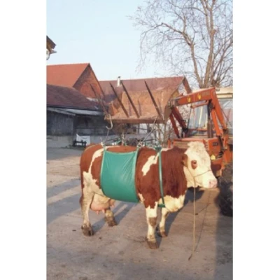 Afbeelding van Koelift compleet