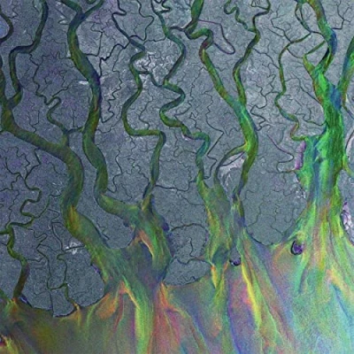 Afbeelding van Alt J An Awesome Wave (LP)