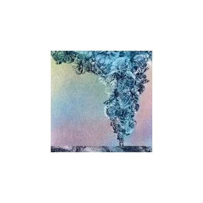 Afbeelding van Daughn Gibson Carnation (LP)