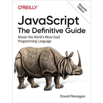 Afbeelding van JavaScript The Definitive Guide