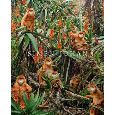 Afbeelding van Simen Johan