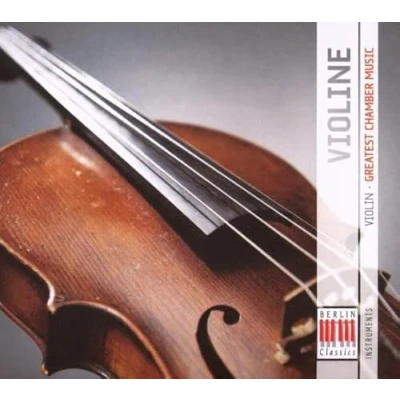 Afbeelding van Various Artists Violin Greatest Chamber Music (2 CD)