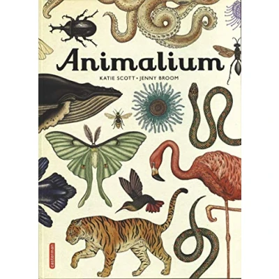 Afbeelding van Animalium