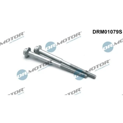 Afbeelding van Dr.Motor Automotive Schroef DRM01079S