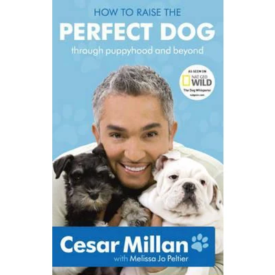 Afbeelding van How To Raise The Perfect Dog
