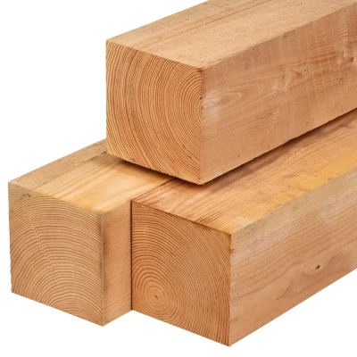 Afbeelding van Paal douglas 20,0x20,0x600 cm Tuindeco