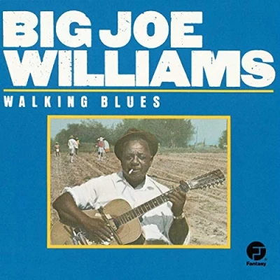 Afbeelding van Walking Blues