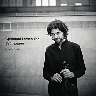 Afbeelding van Gjermund Larsen Trio Salmeklang (CD)
