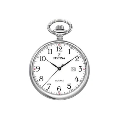 Afbeelding van Festina F2019/1 Zakhorloge Staal Zilverkleurig Ø 42 mm