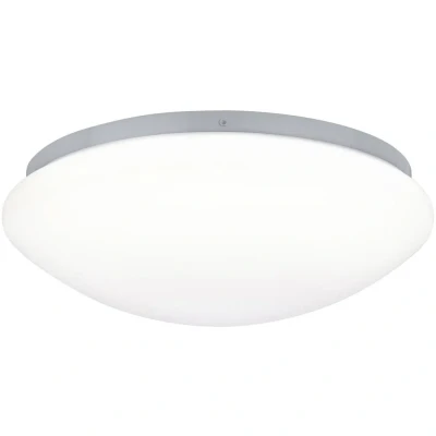 Afbeelding van PAULMANN 70980 LED buitenlamp (wand) 10 W Wit
