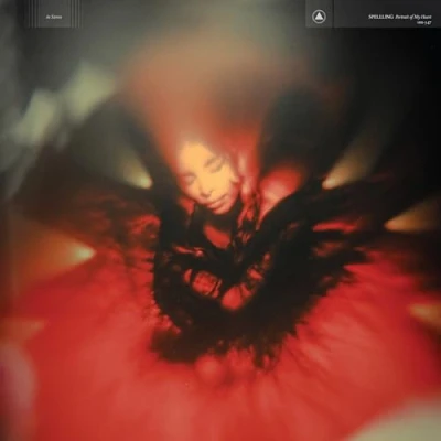 Afbeelding van Spellling Portrait Of My Heart (LP)