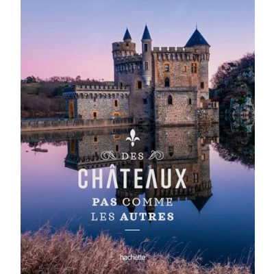 Afbeelding van Des châteaux pas comme les autres