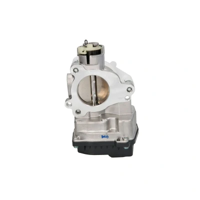Afbeelding van Gasklephuis Continental/VDO 408 239 821 001Z