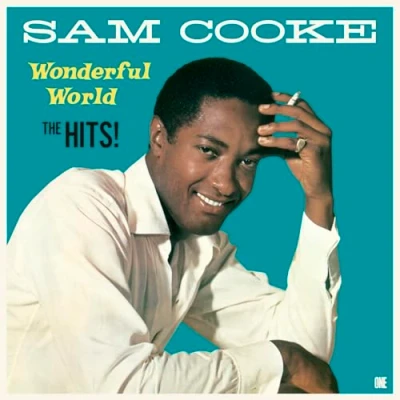 Afbeelding van Sam Cooke Wonderful World The Hits! (LP)