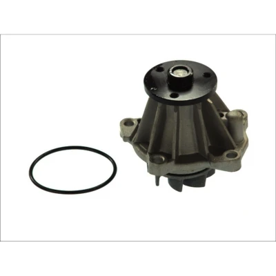 Afbeelding van THERMOTEC D1G033TT Waterpomp Met pakking Mechanisch FORD: Sierra Mk1 Hatchback, SCORPIO 1, Mk2 Saloon