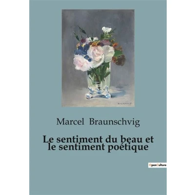 Image de le sentiment du beau et poétique