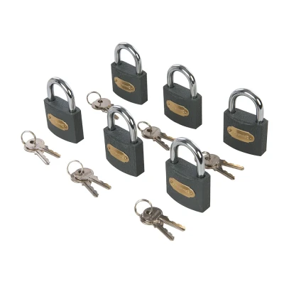 Afbeelding van Silverline Ijzeren hangsloten, gelijksluitend 6 pk. 50 mm