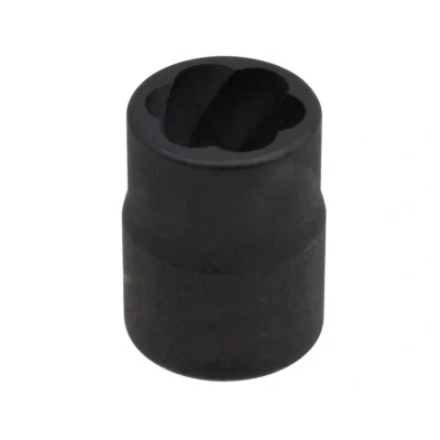 Afbeelding van SW Stahl 05545L 19 Schroevenuitdraaier 1/2 Vierkant Plastic zak