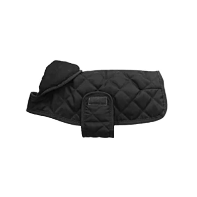 Image de Kentucky Veste pour Chien Original Royal Noir 25cm