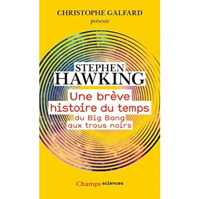 Afbeelding van UNE BREVE HISTOIRE DU TEMPS BIG BANG AUX TROUS NOIRS