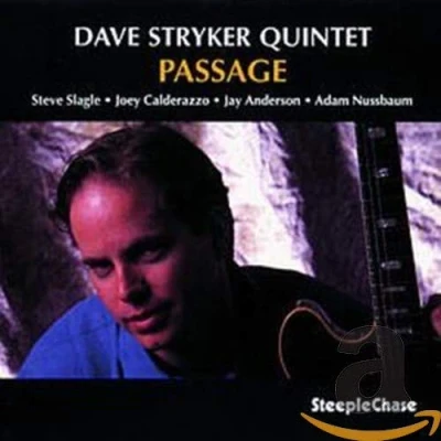 Afbeelding van Dave Stryker Passage (CD)