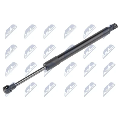 Afbeelding van NTY AE RE 066 Gasveer Motorkap 465