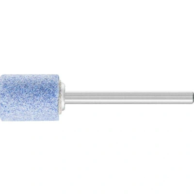 Afbeelding van PFERD 31116230 Schuurpen Diameter 10 mm stuk(s)