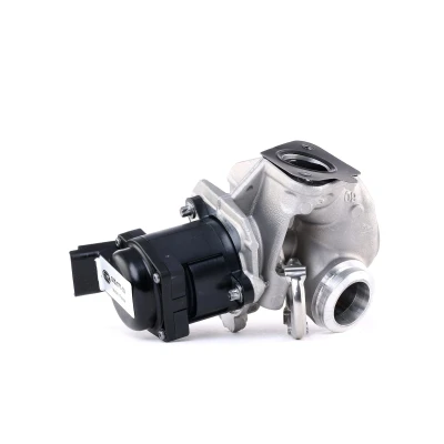 Afbeelding van Hella EGR klep 6NU 010 171 101