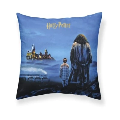 Afbeelding van Kussenhoes Harry Potter Philosopher&#039;s Stone 50 x cm